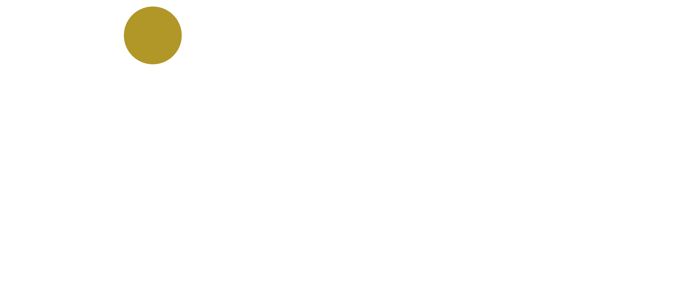 Magyar Pénzügyi Közvetítő Zrt.